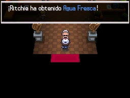 Ciudad Esmalte en Pokémon Negro y Blanco — captura 1