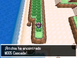 Ruta 17-18 en Pokémon Negro y Blanco — captura 2 Ruta 17-18 en Pokémon Negro y Blanco — captura 2
