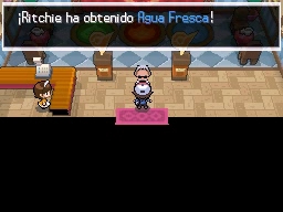 Ciudad Gres en Pokémon Negro y Blanco — captura 2