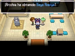 Ciudad Porcelana en Pokémon Negro y Blanco — captura 2 Ciudad Porcelana en Pokémon Negro y Blanco — captura 2