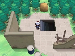 Solar de los Sueños en Pokémon Negro y Blanco — captura 1