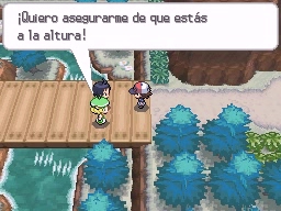 Ruta 10 en Pokémon Negro y Blanco — captura 1