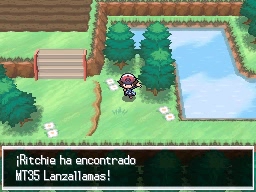 Ruta 14 en Pokémon Negro y Blanco — captura 1