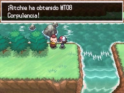 Ruta 14 en Pokémon Negro y Blanco — captura 1
