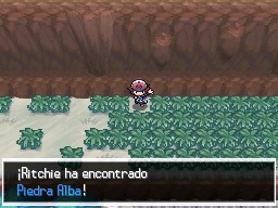 Ruta 10 en Pokémon Negro y Blanco — captura 1