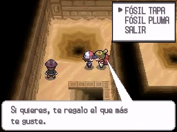 Ruta 4 en Pokémon Negro y Blanco — captura 2