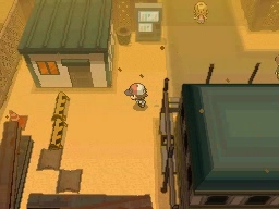 Ruta 4 en Pokémon Negro y Blanco — captura 2