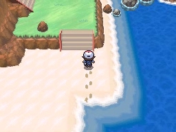 Ruta 17-18 en Pokémon Negro y Blanco — captura 2 Ruta 17-18 en Pokémon Negro y Blanco — captura 2