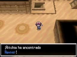 Ruta 4 en Pokémon Negro y Blanco — captura 1