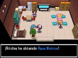 Ciudad Esmalte en Pokémon Negro y Blanco — captura 2