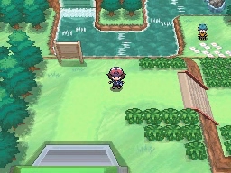 Ruta 14 en Pokémon Negro y Blanco — captura 2