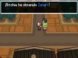 Ciudad Esmalte en Pokémon Negro y Blanco — captura 2