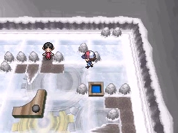 Ciudad Teja en Pokémon Negro y Blanco — captura 1
