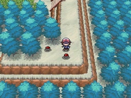 Ruta 2 en Pokémon Negro y Blanco — captura 2 Ruta 2 en Pokémon Negro y Blanco — captura 2