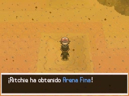 Ruta 4 en Pokémon Negro y Blanco — captura 2