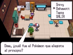 Ciudad Esmalte en Pokémon Negro y Blanco — captura 1