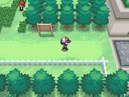 Ruta 12 en Pokémon Negro y Blanco — captura 2 Ruta 12 en Pokémon Negro y Blanco — captura 2