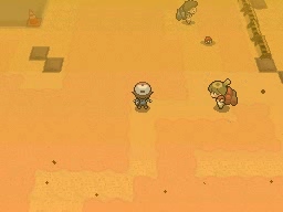 Ruta 4 en Pokémon Negro y Blanco — captura 2