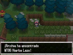 Bosque Azulejo en Pokémon Negro y Blanco — captura 1