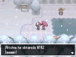 Ruta 8 en Pokémon Negro y Blanco — captura 1