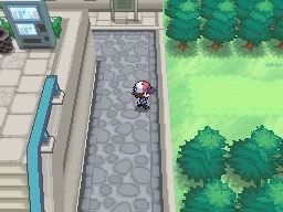 Pueblo Ladrillo en Pokémon Negro y Blanco — captura 2