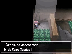 Solar de los Sueños en Pokémon Negro y Blanco — captura 2