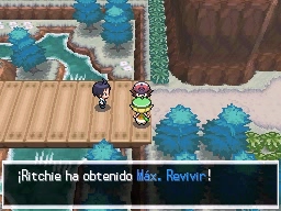 Ruta 10 en Pokémon Negro y Blanco — captura 2