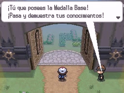Ruta 10 en Pokémon Negro y Blanco — captura 2