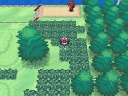 Ruta 17-18 en Pokémon Negro y Blanco — captura 1 Ruta 17-18 en Pokémon Negro y Blanco — captura 1
