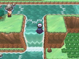 Ruta 14 en Pokémon Negro y Blanco — captura 2