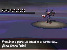 Liga Pokémon en Pokémon Negro y Blanco — captura 2