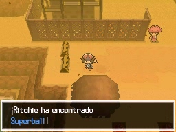 Ruta 4 en Pokémon Negro y Blanco — captura 1