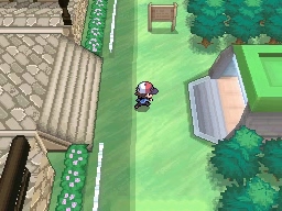 Puente Villa en Pokémon Negro y Blanco — captura 2