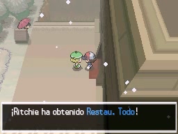 Ruta 8 en Pokémon Negro y Blanco — captura 2