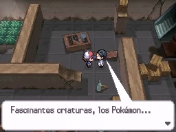 Solar de los Sueños en Pokémon Negro y Blanco — captura 2