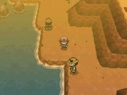 Ruta 4 en Pokémon Negro y Blanco — captura 2