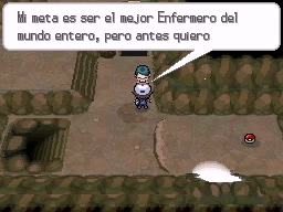Calle Victoria en Pokémon Negro y Blanco — captura 2 Calle Victoria en Pokémon Negro y Blanco — captura 2