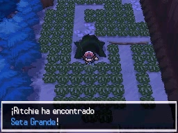 Ciudad Mayólica en Pokémon Negro y Blanco — captura 2