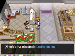 Ciudad Fayenza en Pokémon Negro y Blanco — captura 1 Ciudad Fayenza en Pokémon Negro y Blanco — captura 1
