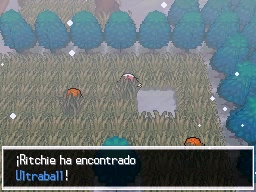 Ruta 7 en Pokémon Negro y Blanco — captura 2
