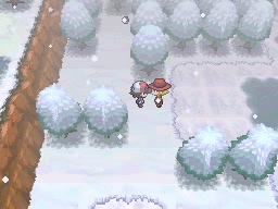 Ruta 8 en Pokémon Negro y Blanco — captura 2