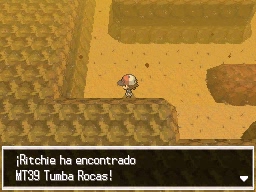 Ruta 4 en Pokémon Negro y Blanco — captura 1