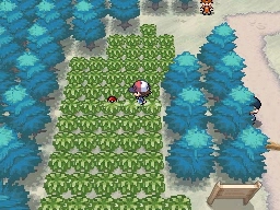 Ruta 2 en Pokémon Negro y Blanco — captura 1 Ruta 2 en Pokémon Negro y Blanco — captura 1