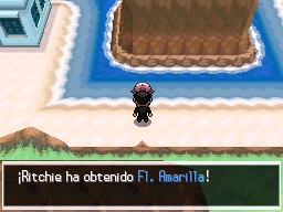 Ruta 13 en Pokémon Negro y Blanco — captura 1 Ruta 13 en Pokémon Negro y Blanco — captura 1
