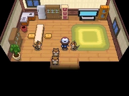 Puente Villa en Pokémon Negro y Blanco — captura 1