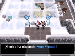Ciudad Teja en Pokémon Negro y Blanco — captura 2