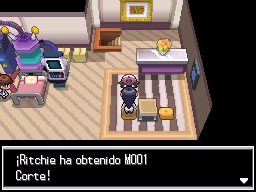 Ciudad Gres en Pokémon Negro y Blanco — captura 2
