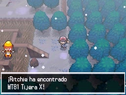 Ruta 7 en Pokémon Negro y Blanco — captura 1