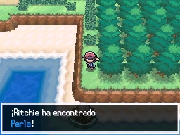 Ruta 17-18 en Pokémon Negro y Blanco — captura 2 Ruta 17-18 en Pokémon Negro y Blanco — captura 2