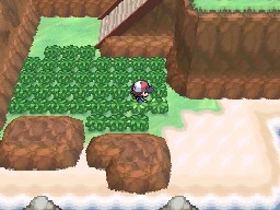 Ruta 13 en Pokémon Negro y Blanco — captura 2 Ruta 13 en Pokémon Negro y Blanco — captura 2